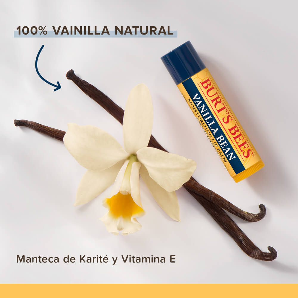 Bálsamo Labial Vainilla BURTS BEES 2 burts-bees-balsamo-labios-vainilla-2