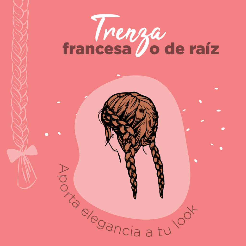 Trenza francesa
